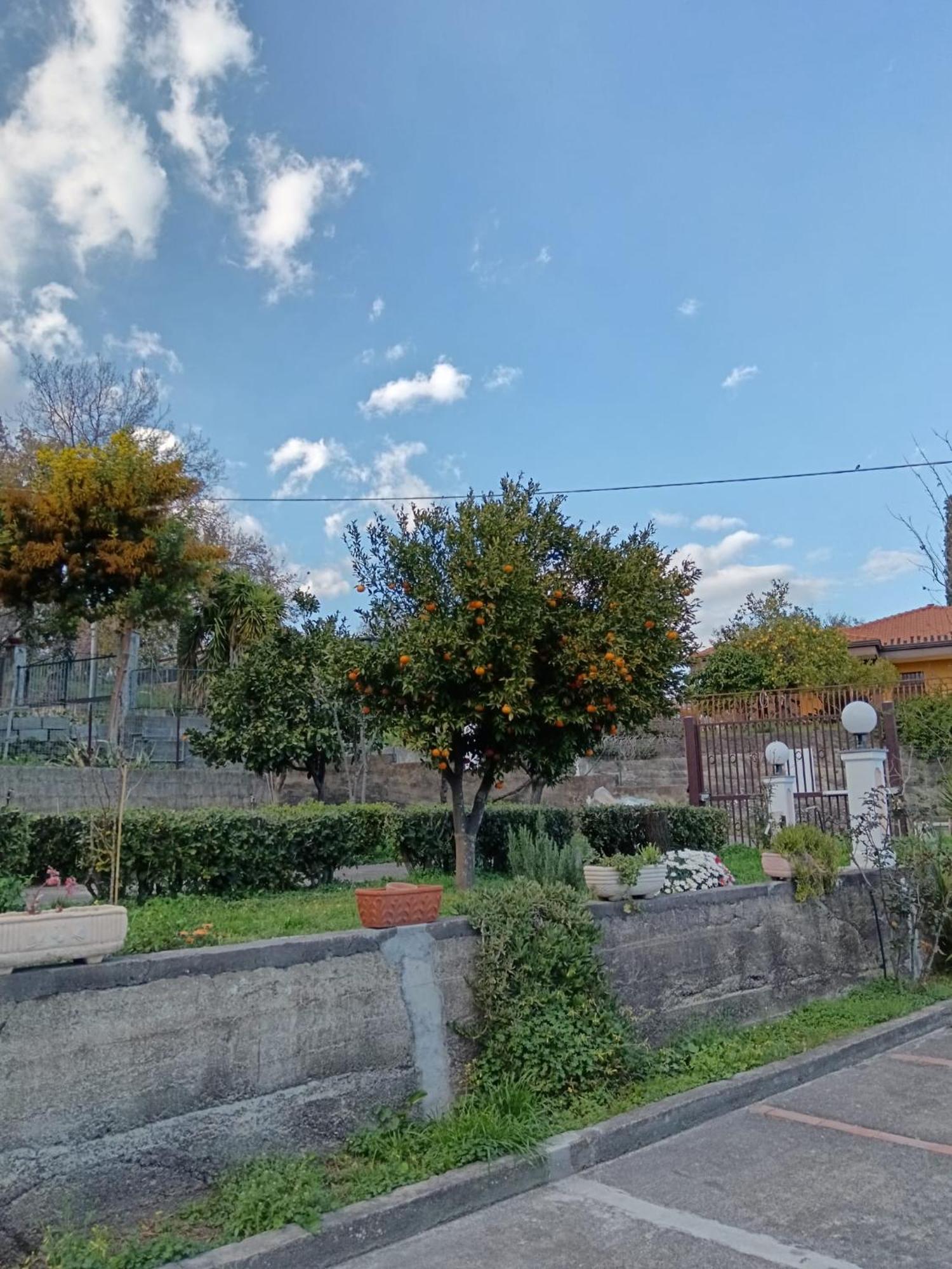 Abbentu Apartment Zafferana Etnea Luaran gambar